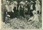 Improving World Agriculture - American Vintage Photograph 