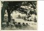 Cooper Union - American Vintage Photograph