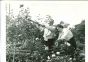 Casey Stengel - American Vintage Photograph