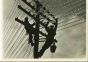 Telephone Wires - American Vintage Photograph