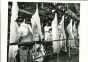 Packing Industry - American Vintage Photograph