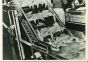 Frozen Food Industry - American Vintage Photograph