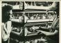 Cattle Feed - American Vintage Photograph