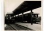 Toscanini in Tour - American Vintage Photograph