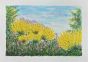 Gorse