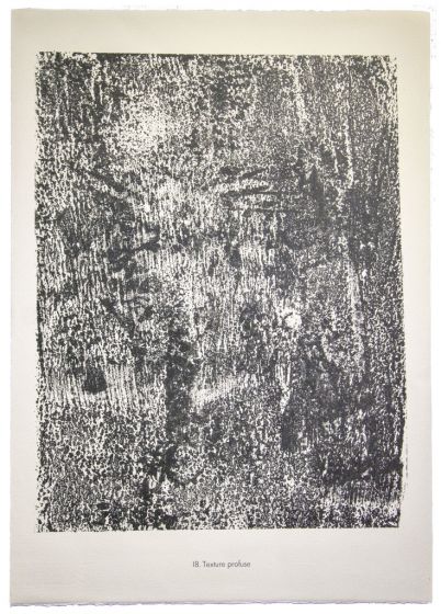 Texture Profuse is an original lithograph on watermarked paper "Arc". Abstract composition by the French artist Jean Dubuffet. From the album of "Theatre du sol" (1953-1959). In excellent conditions.