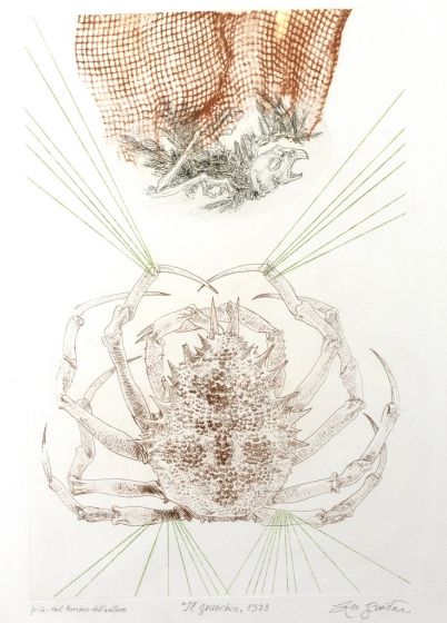 The Crab