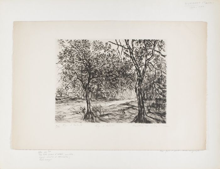 Allé sous bois by Paulette Humbert - Contemporary Artwork