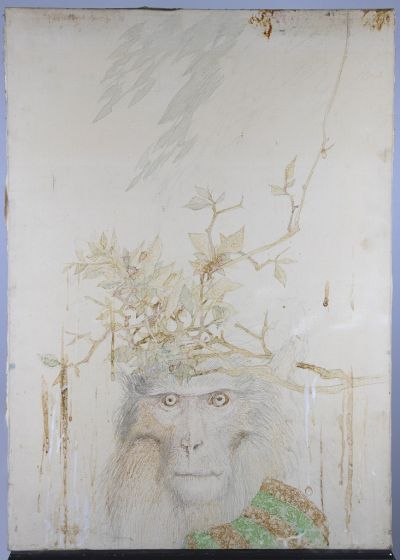 The Monkey 