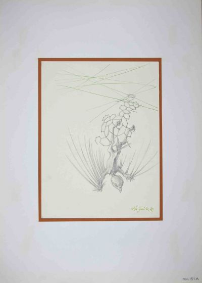 The Fall