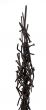 Composition by Nino Franchina - Online Decorative Objects