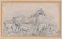 Horse with Herds by Filippo Palizzi - Modern Artworks