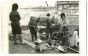 War in Algeria - Historical Photo 
