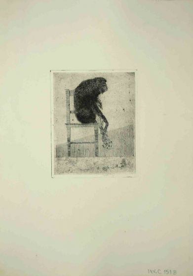 Seated Monkey
