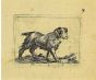 Dog by Antonio Tempesta - Artwork 