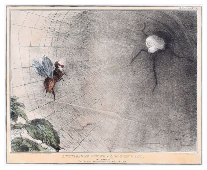 A Venerable Spider And A Buzzing Fly by John Doyle - Old Master Artwork