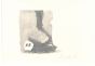 Still Life by Giorgio Morandi - Contemporary Artwork