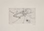"Insects" by Sergio Barletta - Contemporary Artwork