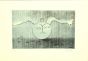 Full Moon by Guelfo Bianchini - Contemporary Artworks 