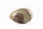 Vintage Marble Egg - Design
