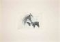 The Horses in the Roman Countryside
