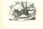 The Hunting Cat