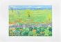 Meadow in Spring