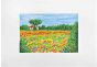 Meadow with Poppies