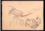 Sketches