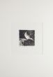 Bird by Cugia Gianni - Contemporary Artwork
