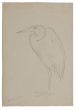 Bird - SOLD