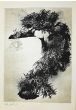 Decadence – Leo Guida - Contemporary Art