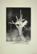 Tree of Life by Leo Guida - Contemporary Artwork