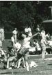 Woman Shot Potter - American Vintage Photograph