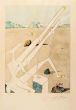 Plate from "La Conquete du Cosmos"