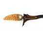 Indonesian Kris with sheath.