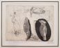 Storia di un Martin Pescatore by Luigi Bartolini - Modern Artwork 