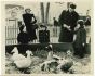An American Zoological Garden - Vintage Photograph
