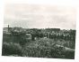 View Of Rome - Vintage Photograph    