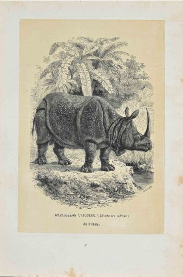 Hippopotamus Unicorn