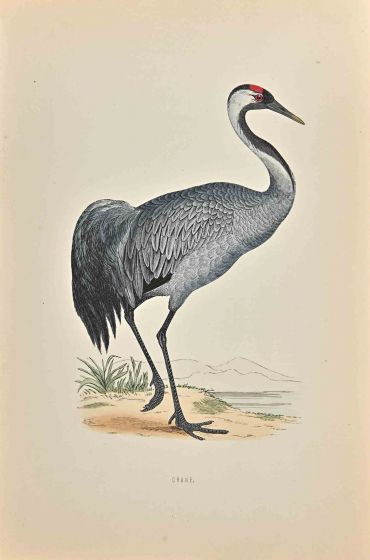 Crane