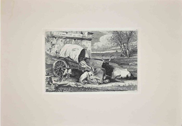 Bulls in the Roman Countryside