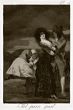 Tal Para Qual by Francisco Goya - Old Masters
