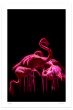 Flamingos by Dadodu - Contemporary Art Print