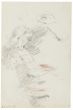 "Studies" is an original drawing in tempera on paper, realized by an Anonymous French Artist of the XX Century . 