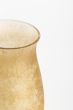 Elegant amber vase