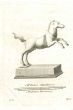 Ancient Roman Horse - Vincenzo Camapana - Old Master's Artwork
