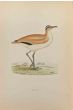 Gourser