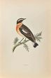 Winchat