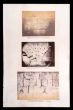 Roman Monuments - Silver Salt Photographs 
